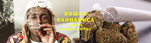 трава Покачи