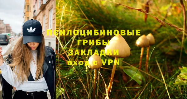 таблы Покровск