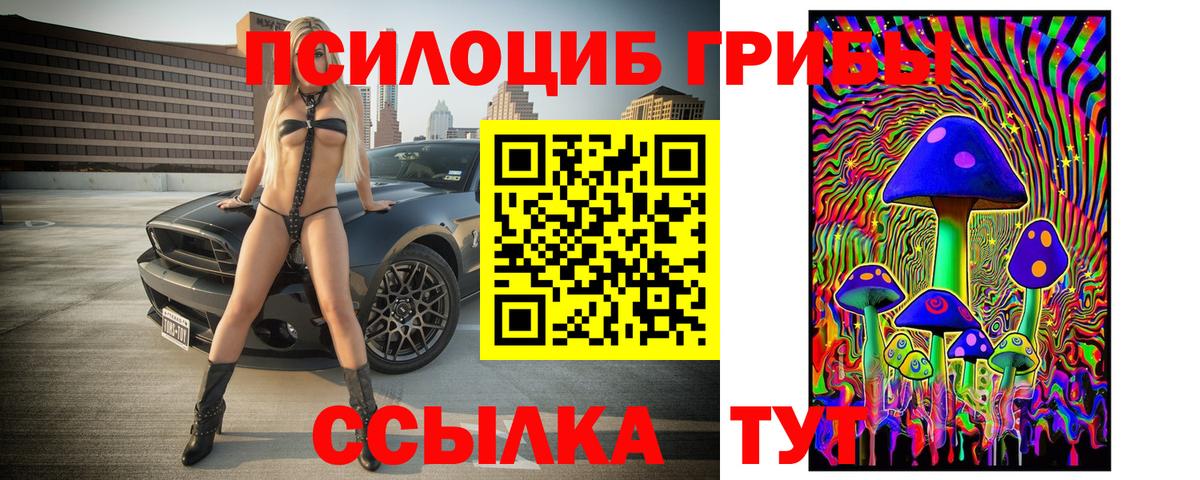 Галлюциногенные грибы Magic Shrooms  где можно купить наркотик  Вход с VPN  Снежинск  Псилоцибиновые грибы GOLDEN TEACHER 