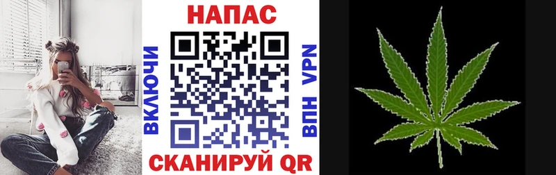 Конопля сатива  где можно купить наркотик  Снежинск 